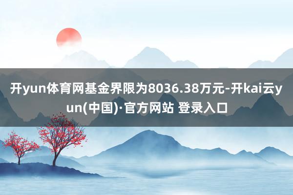 开yun体育网基金界限为8036.38万元-开kai云yun(中国)·官方网站 登录入口