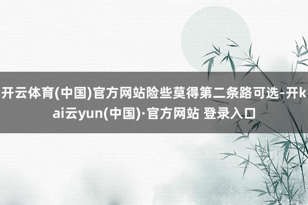 开云体育(中国)官方网站险些莫得第二条路可选-开kai云yun(中国)·官方网站 登录入口