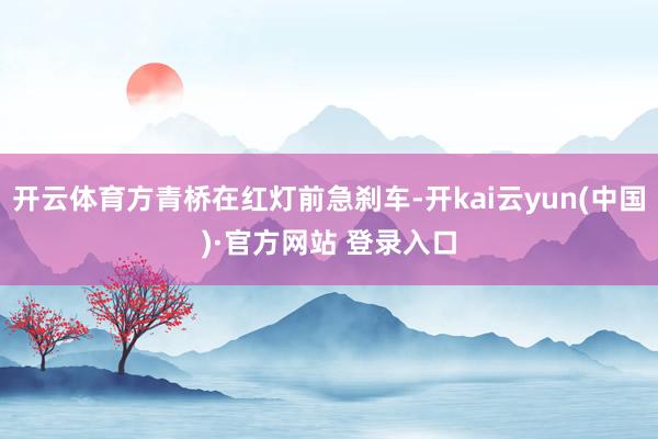 开云体育方青桥在红灯前急刹车-开kai云yun(中国)·官方网站 登录入口